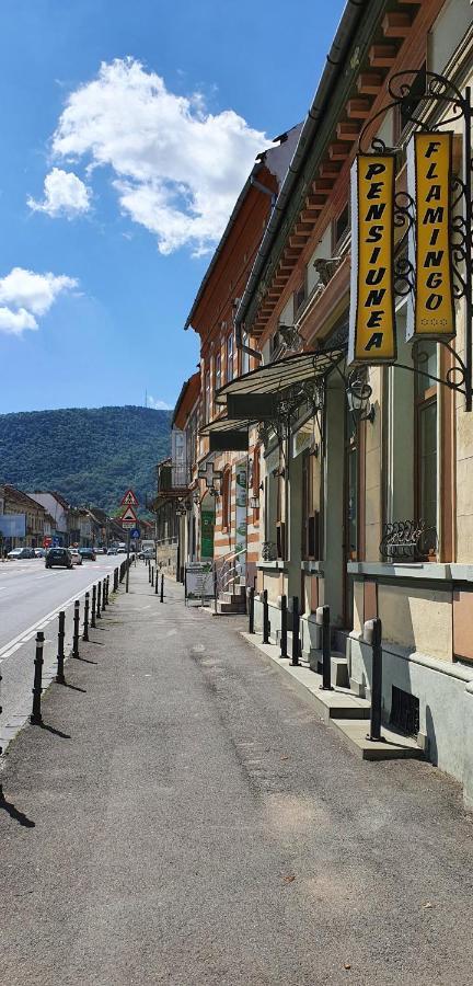 Pension Flamingo Braszów Zewnętrze zdjęcie