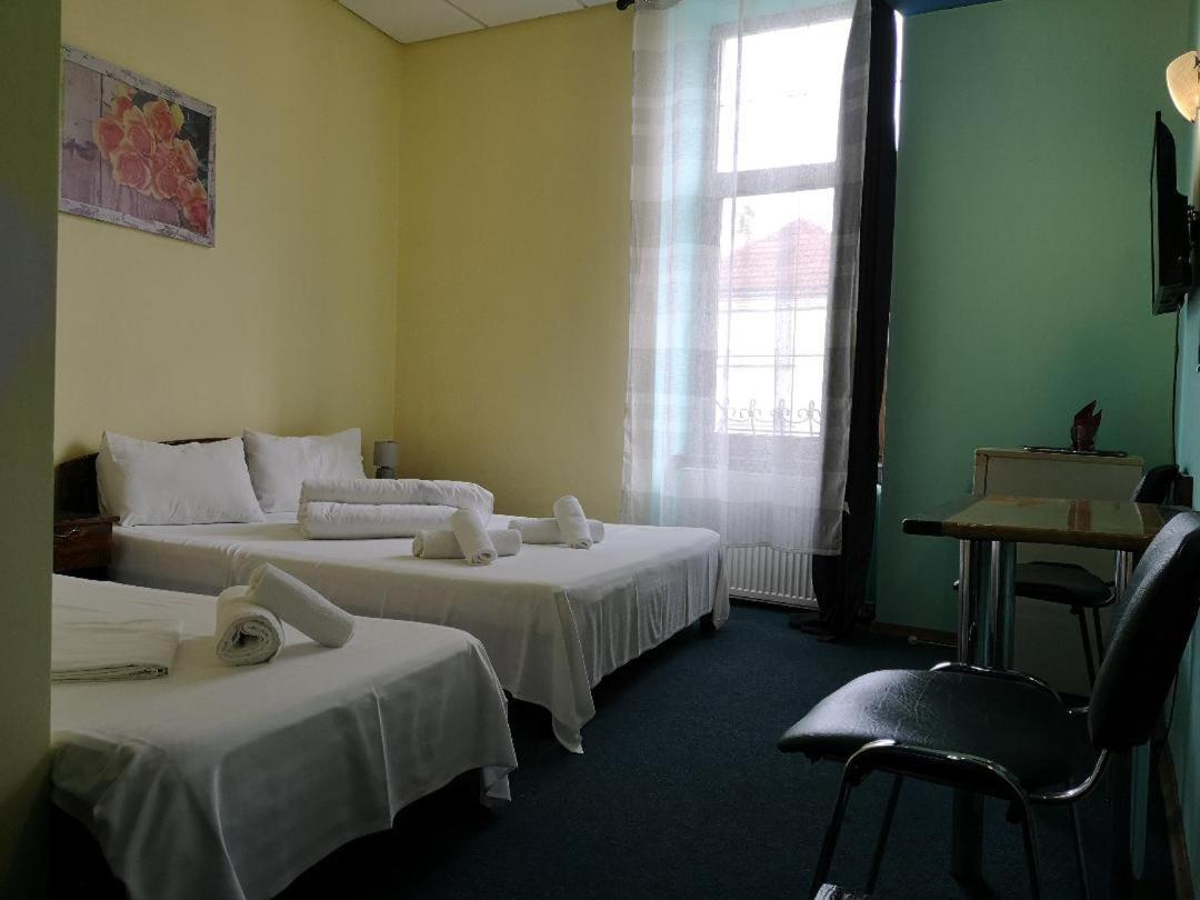 Pension Flamingo Braszów Zewnętrze zdjęcie